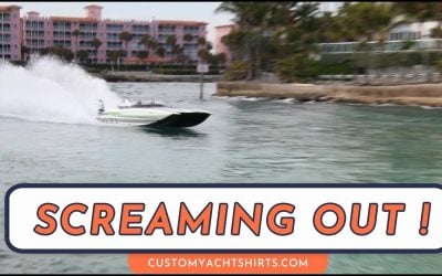 Screaming Out the Cut