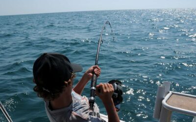 9 Fishing Gaff Hook Options for any Angler